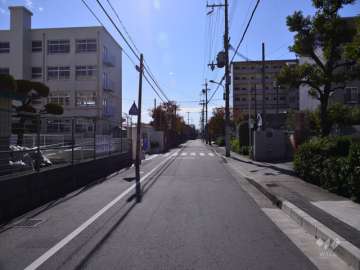 敷地東側前面道路(北側から)