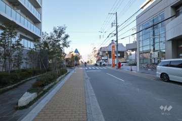 敷地東側の前面道路(南側から)