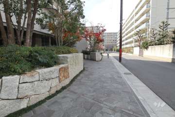 敷地北側の前面道路