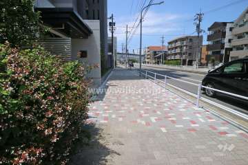 敷地北側の前面道路（東側から）
