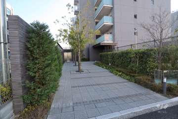 約18mのエントランスアプローチ