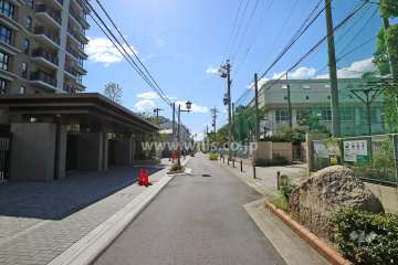 敷地北側の前面道路（東側から）