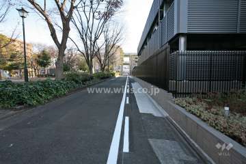 敷地北側の前面道路（西側から）