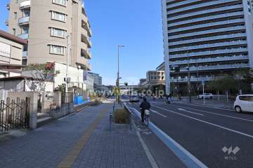 敷地の前面道路(西側から)