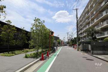 敷地北側の前面道路(東側から)