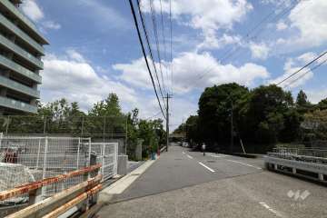 敷地南側の前面道路(西側から)