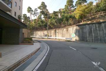 敷地南西側の前面道路（北側から）