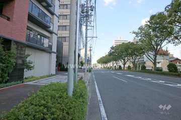 敷地東側の前面道路（南側から）
