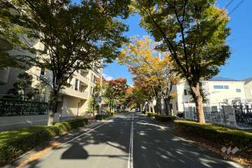 敷地南側の前面道路(西側から)