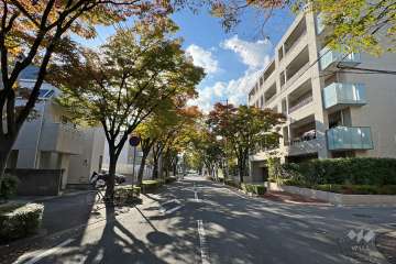 敷地南側の前面道路(東側から)