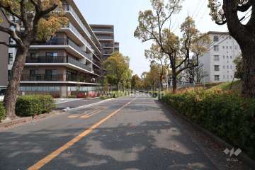 敷地西側の前面道路