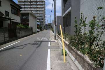 敷地の西側前面道路（南側から）