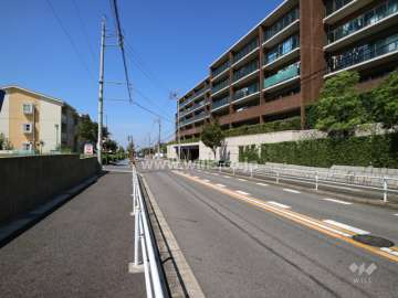 敷地の南側前面道路（東側から）