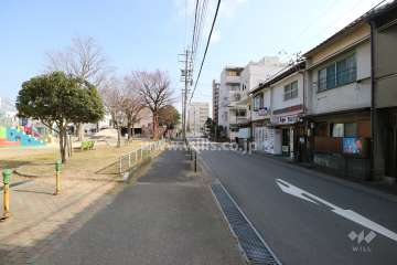 敷地北側の前面道路。道の向かい側には公園があります。