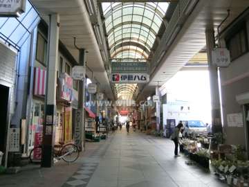 敷地東側の前面道路(南側から)