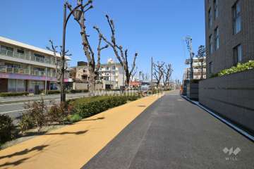敷地北西側の前面道路