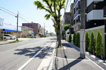敷地北側の前面道路（西側から）