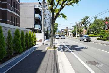 敷地北側の前面道路（東側から）