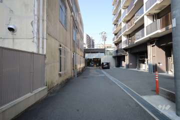 敷地南側の前面道路（東側から）