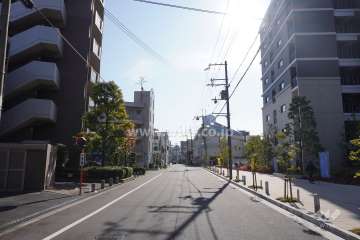 敷地東側の前面道路（北側から）
