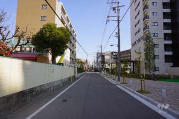敷地北側の前面道路（西側から）