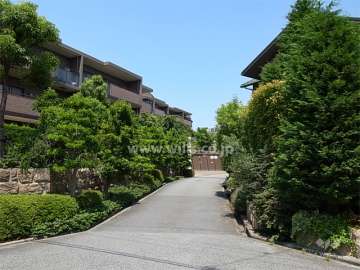 敷地南側の前面道路。周辺は第一種低層住居専用地域に指定された緑豊か住宅地です。