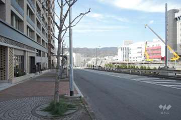 敷地北東側の前面道路（南西側から）