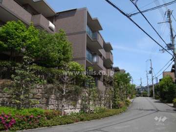 敷地南側の前面道路（西側から）