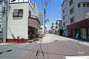 敷地西側の前面道路