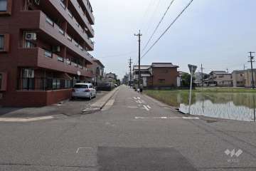 敷地南側の前面道路（西側から）