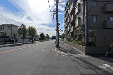 敷地東側の前面道路