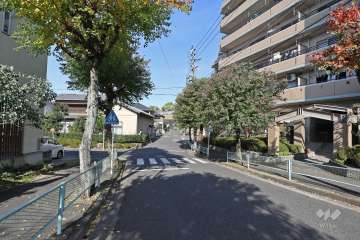 敷地南西側の前面道路