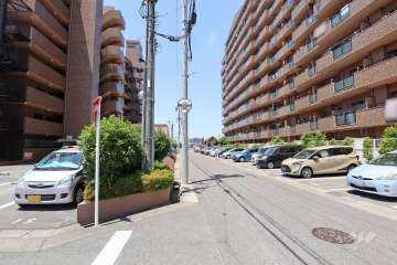 敷地北側の前面道路