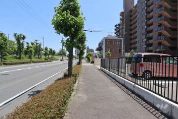 敷地北側の前面道路