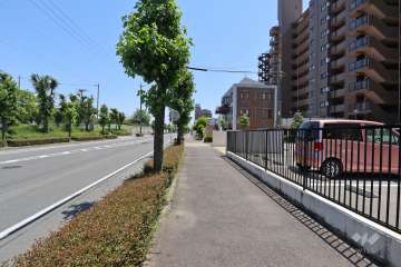 敷地北側の前面道路