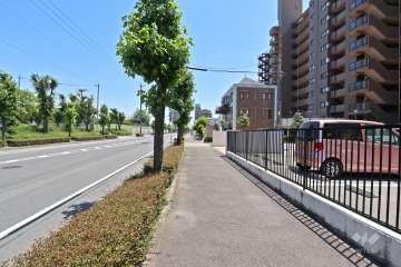 敷地北側の前面道路