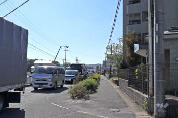 敷地東側の前面道路