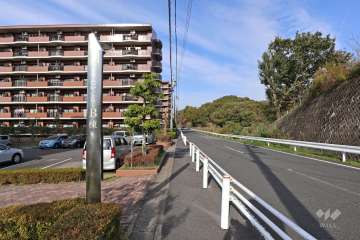敷地北東側の前面道路