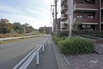 敷地東側前面道路