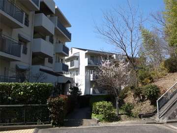 敷地北側は緑地に面しています。