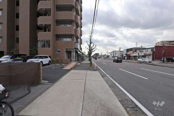 敷地西側の前面道路