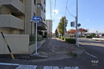 敷地西側の前面道路