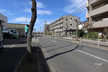 敷地南側の前面道路