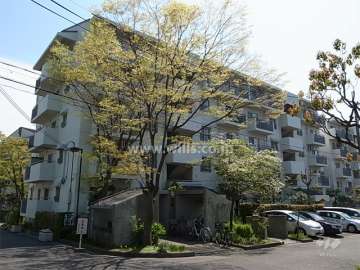 公団千里緑丘団地１２号棟の外観（北東側から）
