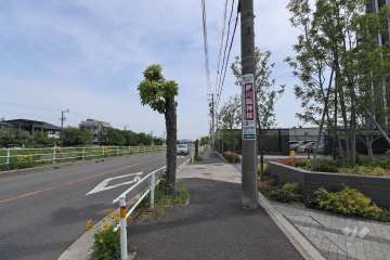 敷地北側の前面道路