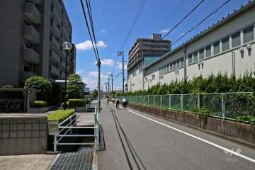 敷地北西側の前面道路（北東側から）