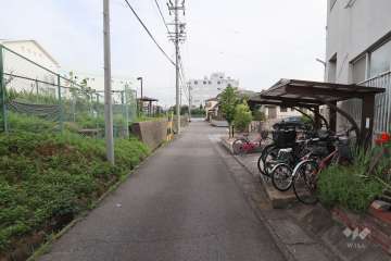 敷地東側の前面道路（北側から）