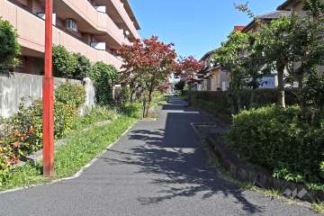 敷地南側の前面道路