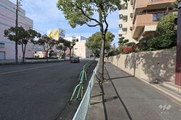 敷地西側の前面道路