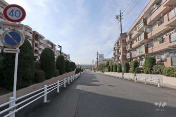 敷地北側の前面道路